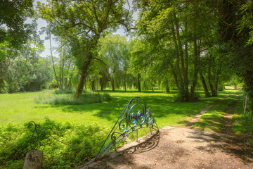 Reportage photos à la demande du Domaine de Bafave à Périssac